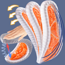 OrthoSense - Semelles Confort
