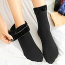 Velutto - Chaussettes Thermiques (Lot de 3 Paires)